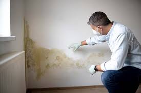 Best Airborne Mold Testing  in Bithlo, FL